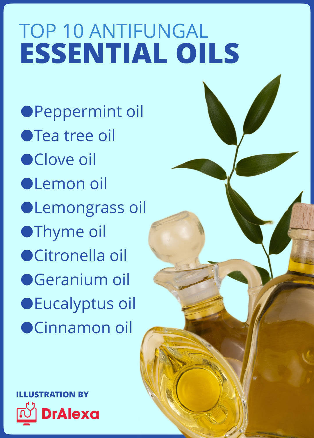 Top10 Antifungal Essential Oils